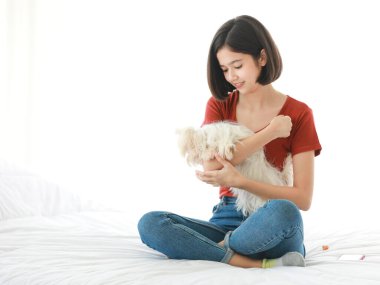Asyalı, genç, mutlu, kısa saçlı kız modelinin stüdyo fotoğrafı. Günlük kıyafet giymiş, bacak bacak üstüne atmış, gülümseyen, kucaklaşan, beyaz arka planda uzun tüylü, yavru köpek yavrusu Malta köpeği taşıyan..