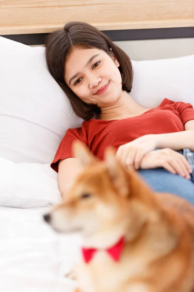 Little Cute Beautiful Smart Brown Shiba Inu Dog Wearing Red — Stock Photo, Image