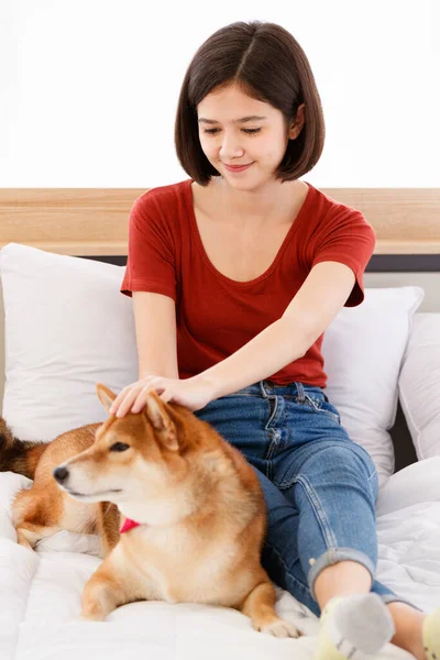 Yatak odasında kırmızı papyon takmış, şirin, kahverengi Shiba Inu köpeğinin portre resmi. Asyalı kadın sahibi gülümseyen, bulanık arka planda birbirine sarılmış gülümseyen kameraya bak..