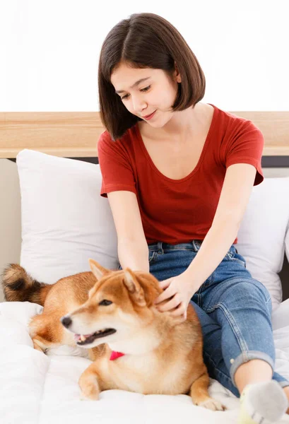 Yatak odasında kırmızı papyon takmış, şirin, kahverengi Shiba Inu köpeğinin portre resmi. Asyalı kadın sahibi gülümseyen, bulanık arka planda birbirine sarılmış gülümseyen kameraya bak..