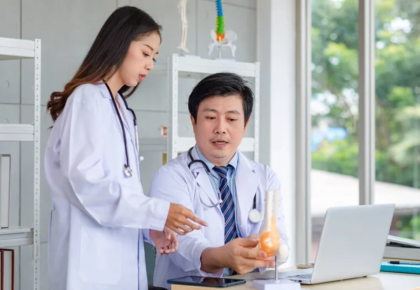 Asian young female doctor standing pointing skeleton model discussing with middle aged male professional colleague practitioner in white lab coat with stethoscope sitting at working desk in office.
