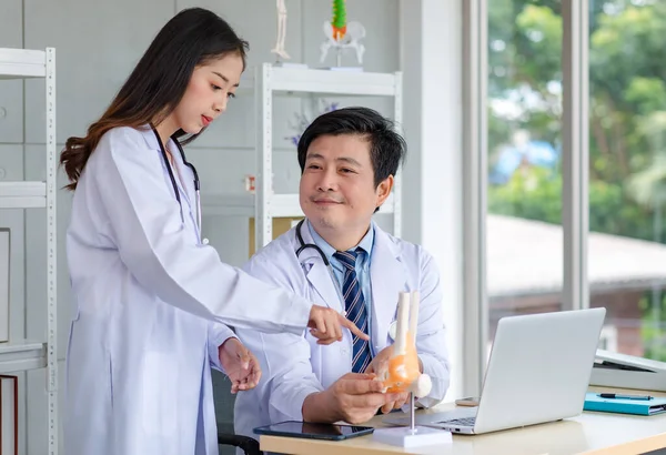 Asian young female doctor standing pointing skeleton model discussing with middle aged male professional colleague practitioner in white lab coat with stethoscope sitting at working desk in office.