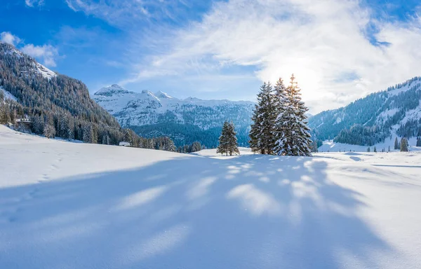 在奥地利纳德鲁姆奥伯陶尔地区的雪山景观中 低垂的太阳投下了长长的阴影 — 图库照片