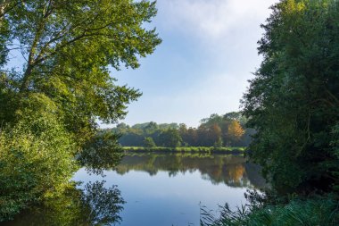 Yoğun sis kalktıktan hemen sonra Zoetermeer 'deki Westerpark' taki bir göletin üzerindeki iki ağacın arasına bak.