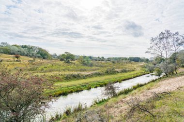 Bir kanal, Amsterdamse 'deki bu güzel kumul bölgesinden geçer. Güneş ışığının ince bir bulut tabakasından filtrelendiği yerden.