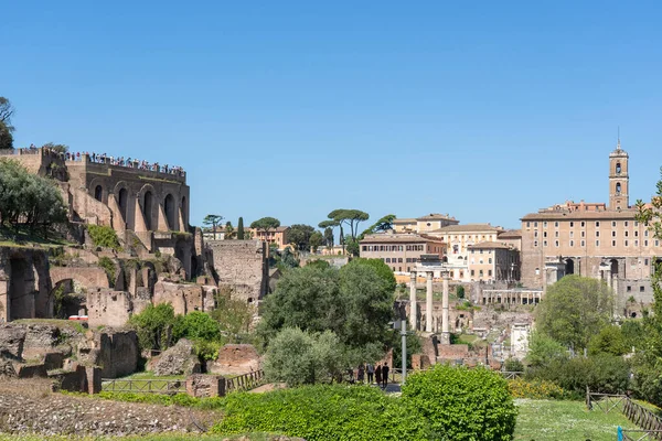 General View Foro Romano Excavated Area Roman Temples Squares Government — Foto de Stock