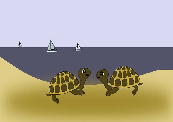 Kumsalda kaplumbağa