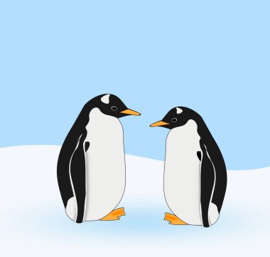 iki penguenler