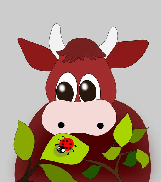 Cow and Ladybug — Stock Photo, Image