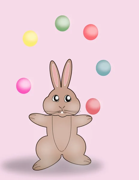 Hraje králík — Stock fotografie