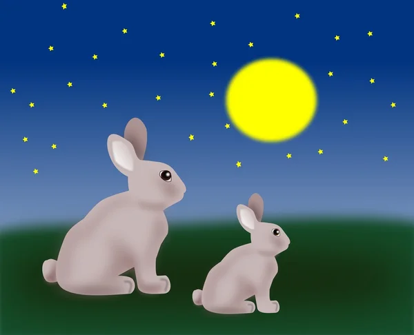 Two Rabbits — Stock Photo, Image