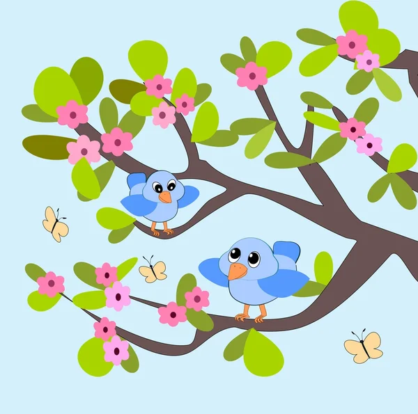 Two blue Birds — Stock Photo, Image