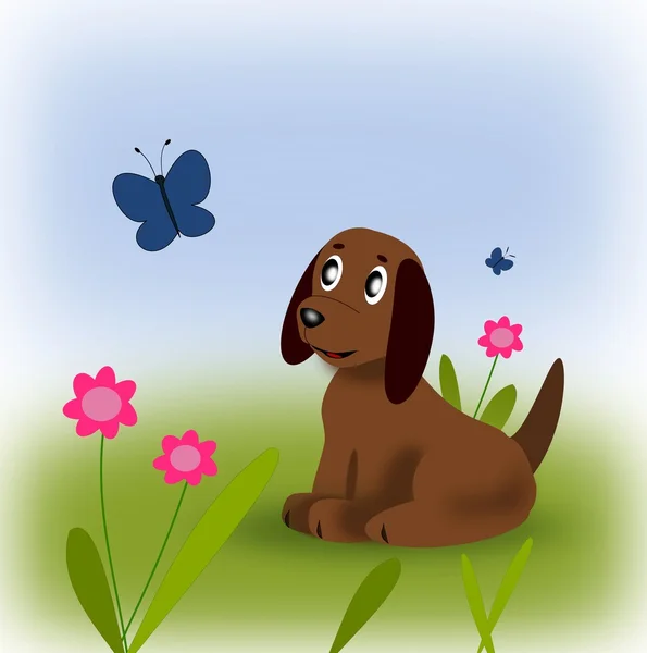 Little Puppy — Stock Photo, Image