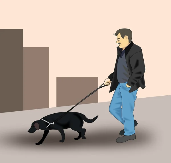 Plimbarea câinelui — Fotografie, imagine de stoc