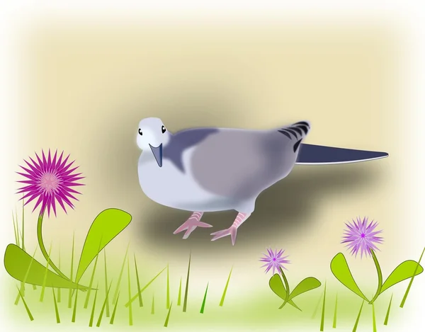 Pigeon and Flowers — Stock Photo, Image
