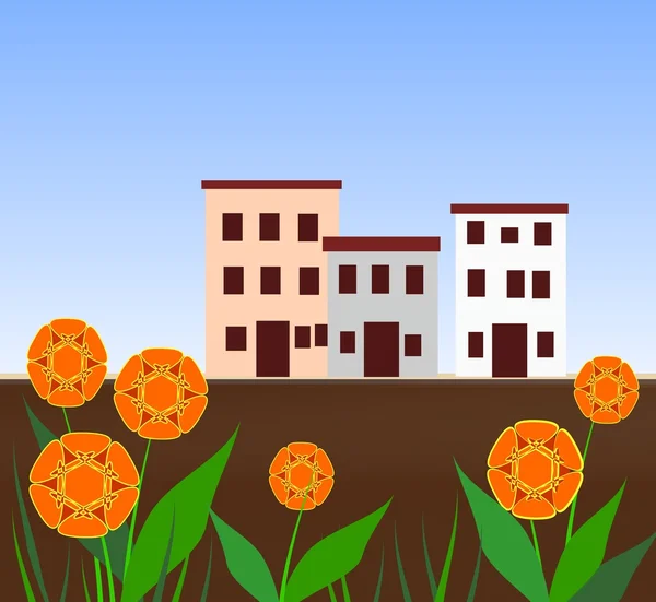 Houses and Flowers — Stock Photo, Image