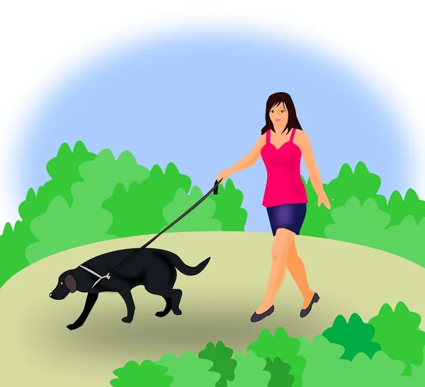 Гулять с собакой — стоковое фото