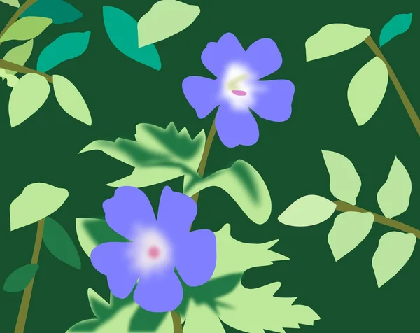 Blue Flowers — Stock Photo, Image