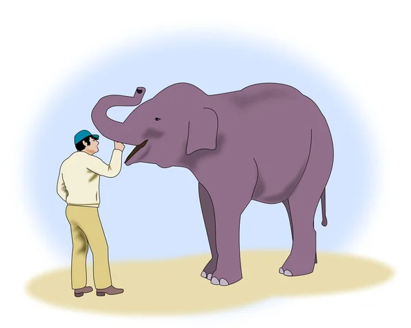 Man with Elephant — Stock Photo, Image