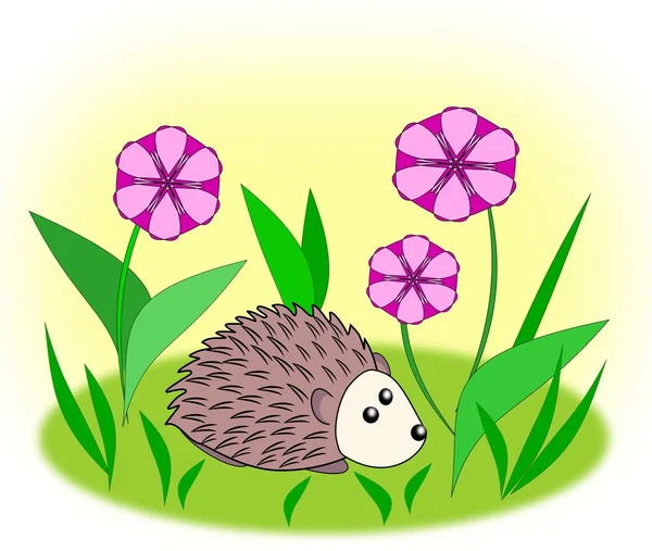 Hedgehog — Stock Photo, Image