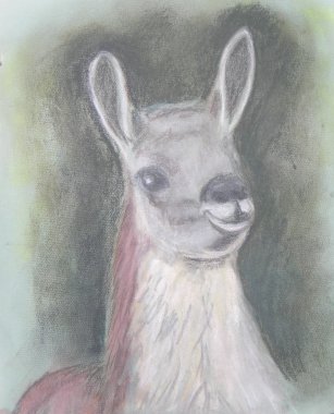 Lama.