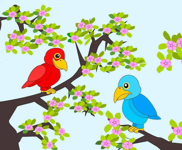 Parrots — Stock Photo, Image