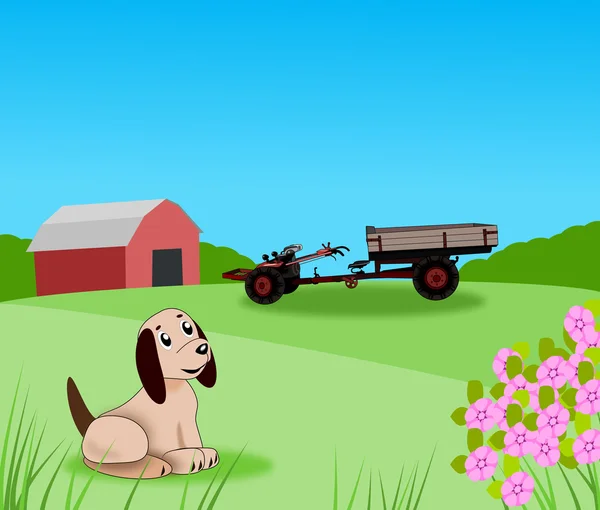 Pequeño cachorro en la granja . — Foto de Stock