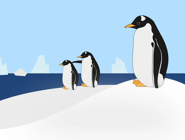 Penguins Three — Stock Photo, Image