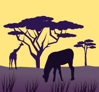 Afrika Hayvanlar