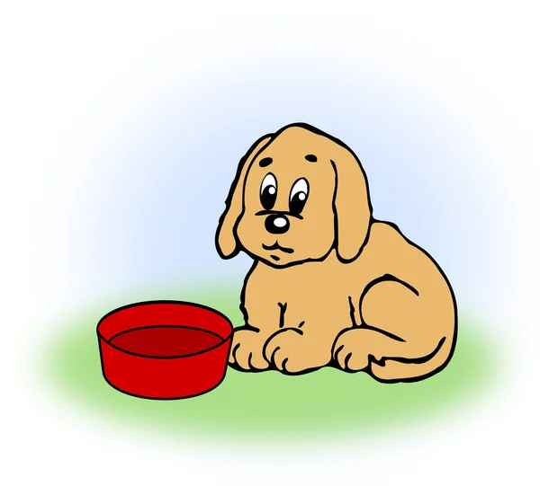 Dog with empty Food Bowl. — Stock Photo, Image