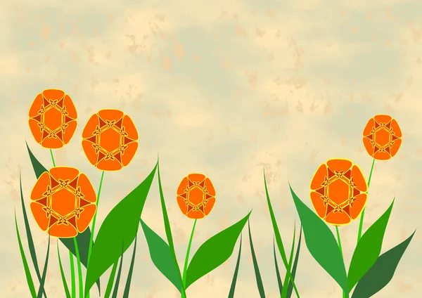 Orangenblüten — Stockfoto