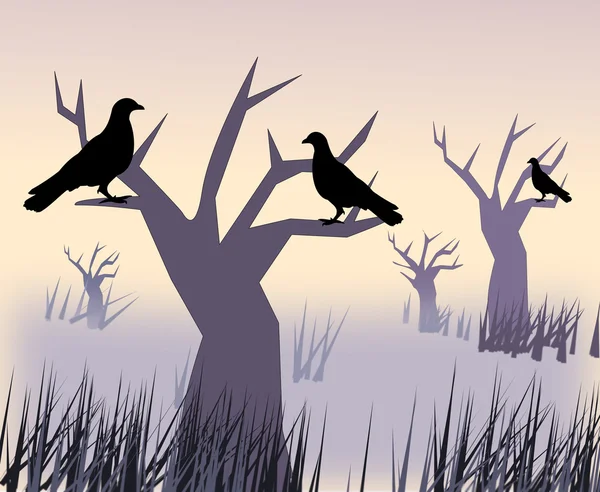 Черные птицы на закате — стоковое фото
