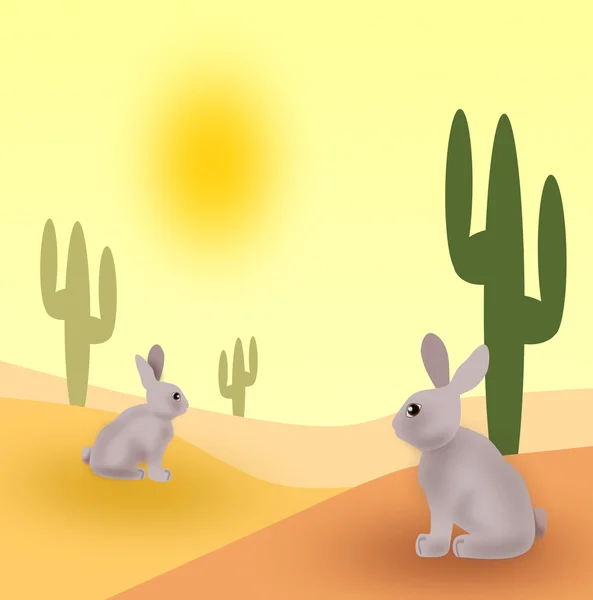 在沙漠中的兔子 — 图库照片