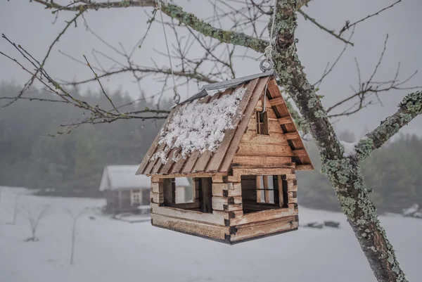 ahşap kuş besleyici bir ağaç dalı
