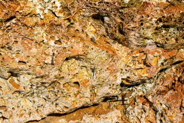 Kırmızı kumtaşı kıyı kayalıklardan desenler.