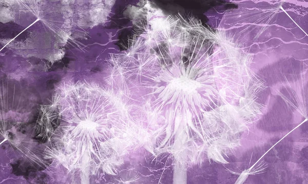 Tuğla zemin üzerinde karahindiba çizimi