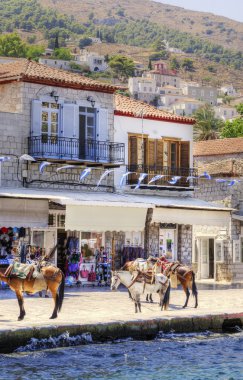 eşekler Yunan Adası