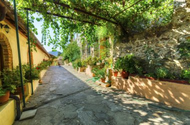 Panayia pantanassa Manastırı, mystras, Yunanistan
