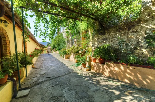 Panayia pantanassa kloster, mystras, Grekland — Stockfoto