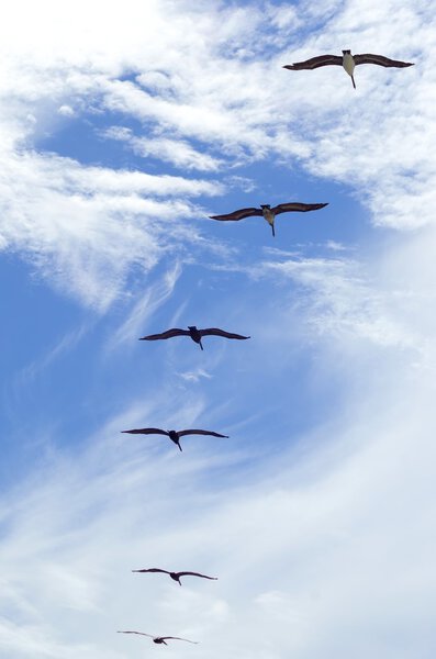 Калифорнийское небо
