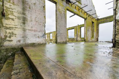 Alcatraz sosyal hall, san francisco, california
