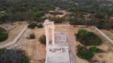 Aerial drone footage view of the arcaeological site of Apollon Hylates sanctuary in Limassol, Cyprus. Close up of the ruins of ancient Greek temple of god Apollonas Ylatis in the old kingdom of Kourion in the woods from above.