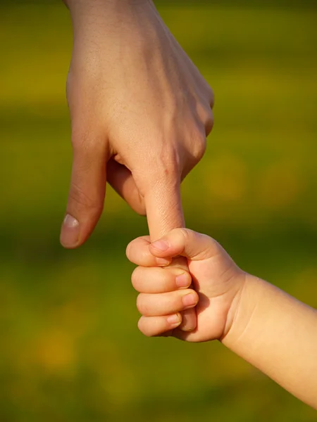 Två hand — Stockfoto