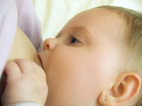 Breast-feeding — Stock Photo, Image