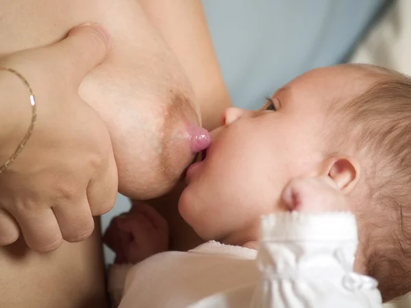 母乳 — ストック写真