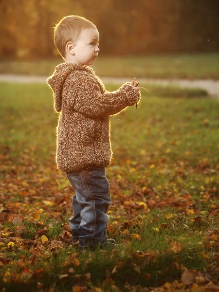 Outdoor little boy — Stock Photo, Image