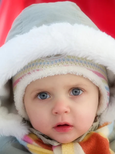 Winter baby Stock Image