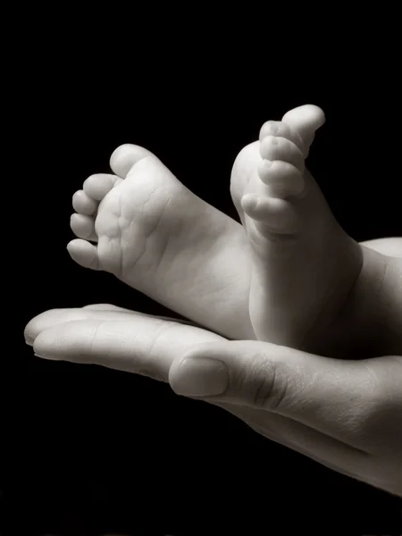 Newborn feet — Stock Photo, Image