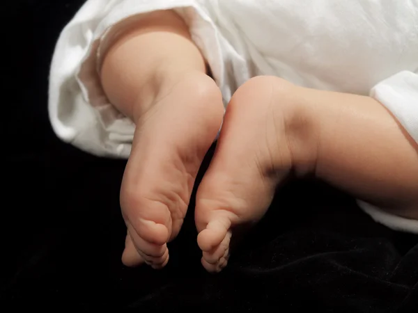 Little feet — Stock Photo, Image