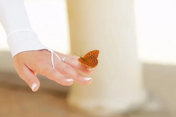 婚礼那天 — 图库照片